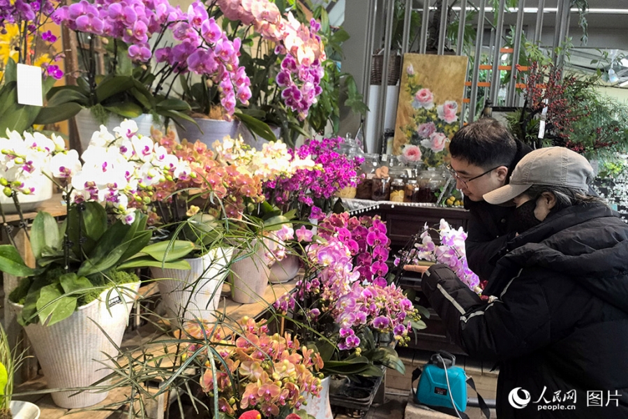 吉林省松原市のある村の温室にランの花を購入しに来た人々（撮影・王海躍）。