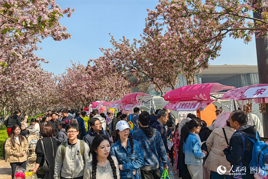 カイドウの花が見頃を迎え、花見客で賑わいを見せる天津文化センター（4月4日撮影・崔新耀）。