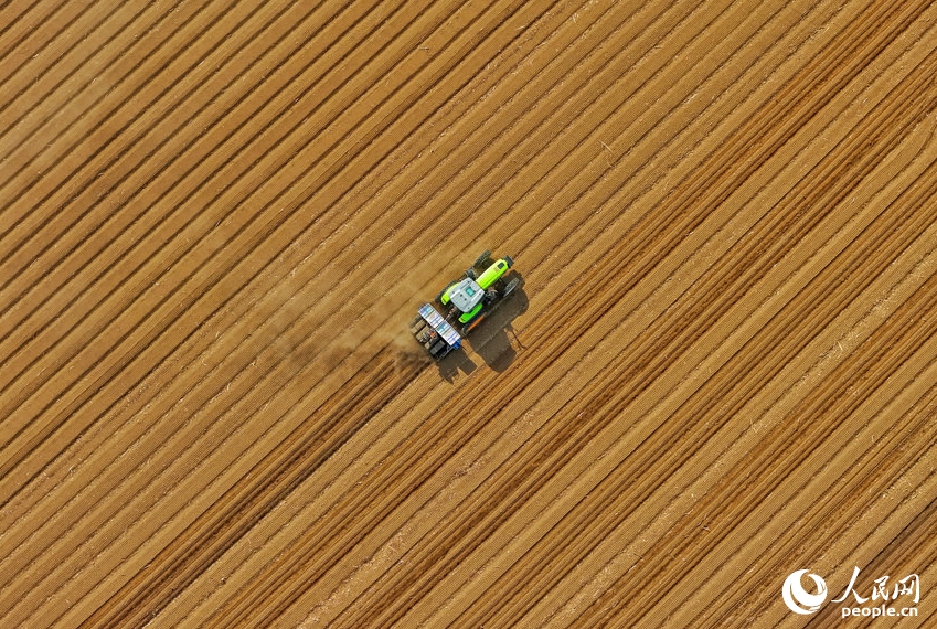 春の耕作のピーク迎え、活気あふれる広大な大地　吉林省