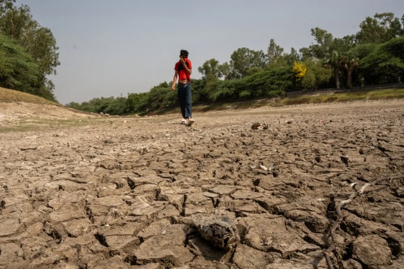 5月22日、熱波に見舞われ、水が干上がって魚も大量に死んだインド・ニューデリーのサンジェイ湖。