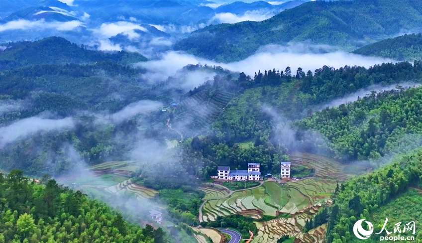 棚田の夏の絶景広がる江西省崇義県