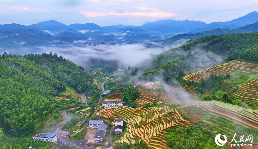 棚田の夏の絶景広がる江西省崇義県