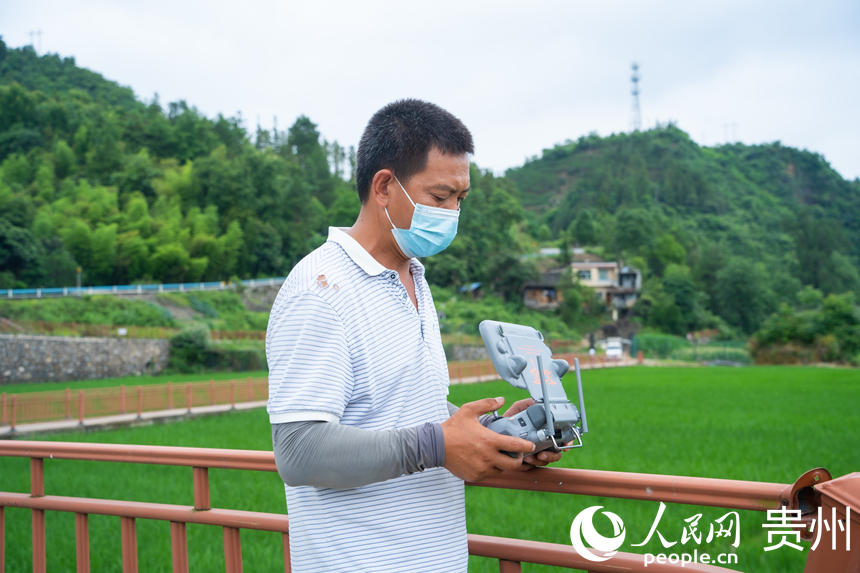 貴州省の稲の種子の6割を生産する岑鞏県