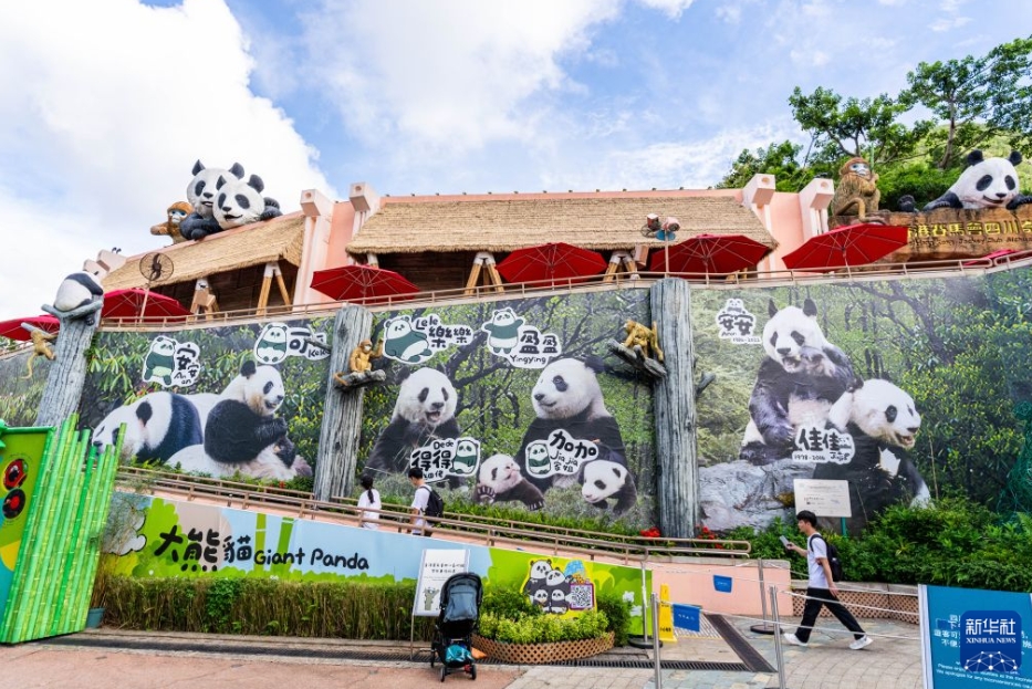 香港海洋公園でパンダ6頭の誕生日イベント開催中