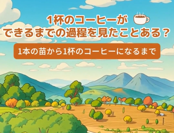 コーヒーが金のなる木に　雲南省孟連県