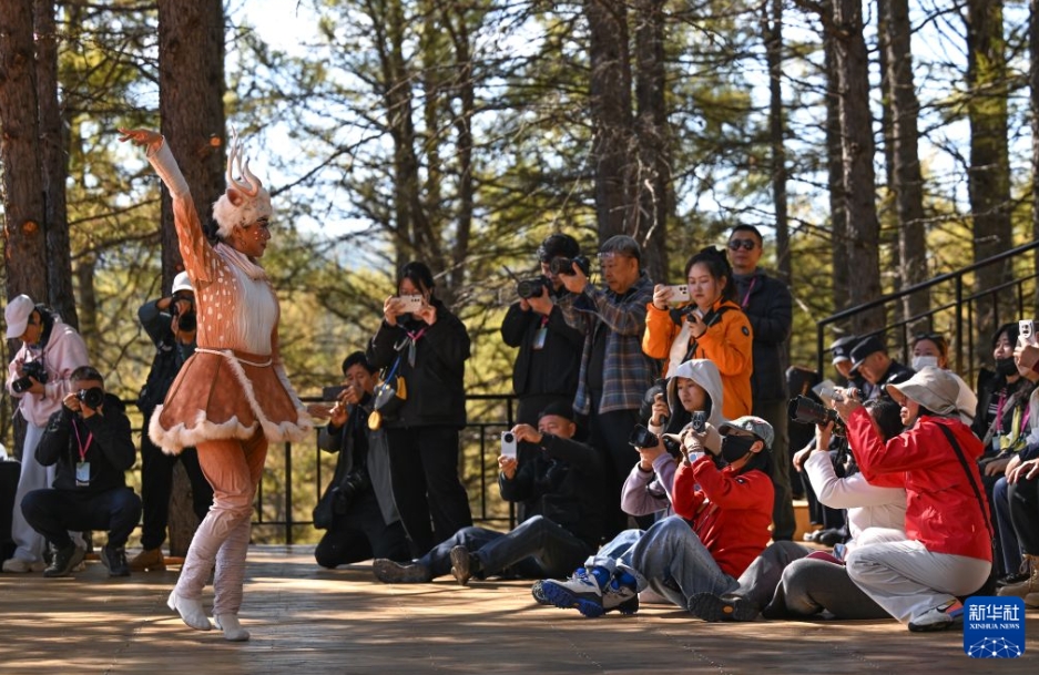 文化観光体験を豊かにする多彩なイベント　内蒙古自治区阿爾山