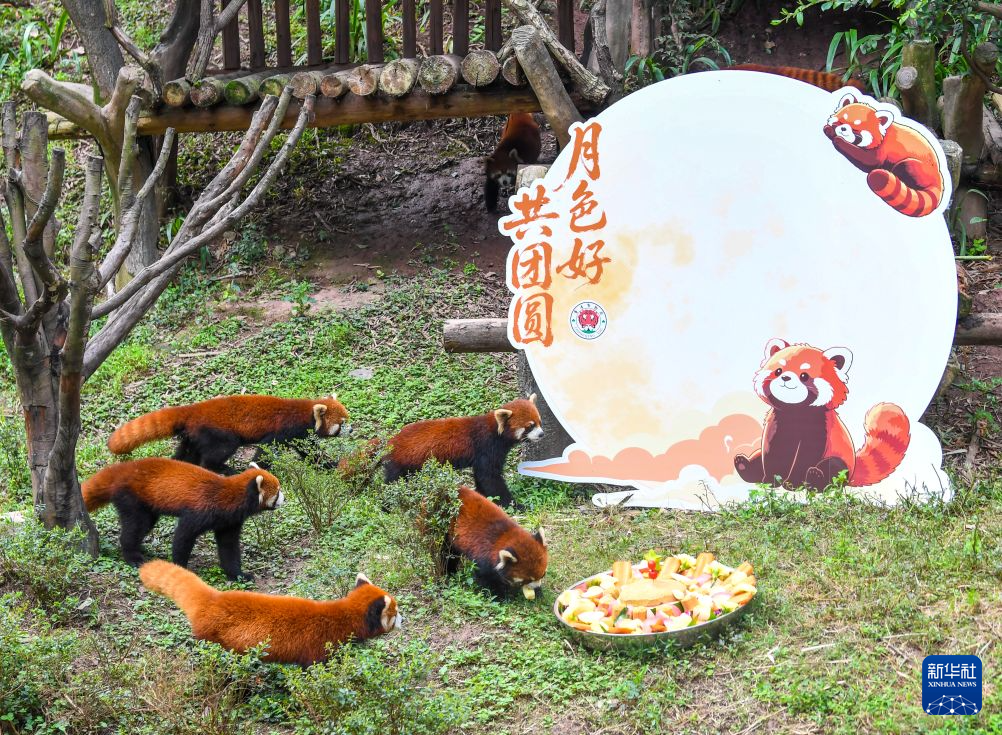 中国各地で中秋節祝う各種イベント
