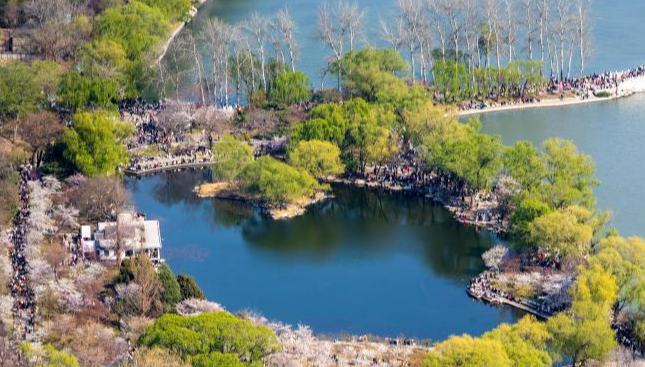 北京の公園725ヶ所は都市と直結　「ドアを開ければ公園」を実現                    北京市園林緑化局の沙海江副局長は15日に行われた記者会見で、「現在、北京には各種の公園が1100ヶ所ある。柵の合理的な撤去が行われ、725ヶ所は都市と直接つながっている。『窓を開ければ緑の景色が広がり、ドアを開ければすぐそこは公園』という情景が日常になっている」とした。詳細>