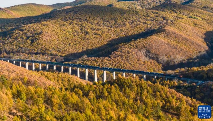 「中欧班列」東ルートの今年の貨物輸入量が2700万トン突破                    中国鉄路哈爾浜（ハルビン）局集団有限公司は、10月18日の時点で、国際定期貨物列車「中欧班列」東ルートの今年の貨物輸入量が2781万8千トンに達し、2669本の輸入コンテナ列車が27万4920TEU（20フィート標準コンテナ換算）の貨物を運び、これが国内・国際産業チェーンとサプライチェーンに安定した活力を注いでいるとした。詳細>