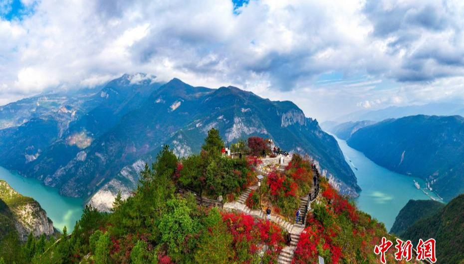 長江巫峡の両岸を彩る鮮やかな紅葉　重慶市巫山                    重慶市巫山県にある面積約8万ヘクタールに及ぶ紅葉が11月23日、次第に色づき始め、まもなく鑑賞のピークを迎え、大勢の観光客が観賞やレジャーに訪れている。詳細>