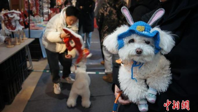四川冬季観光・年越し用品PRイベントが北京で開催                    春節(旧正月、今年は2月17日)を控え、天津で今月1日、年越しペット用品フェスティバルが開催され、多くの市民がペットを連れて参加した。詳細>