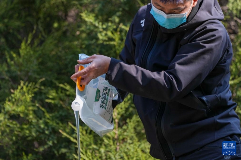 花粉シーズンに突入した北京市、各種対策を実施