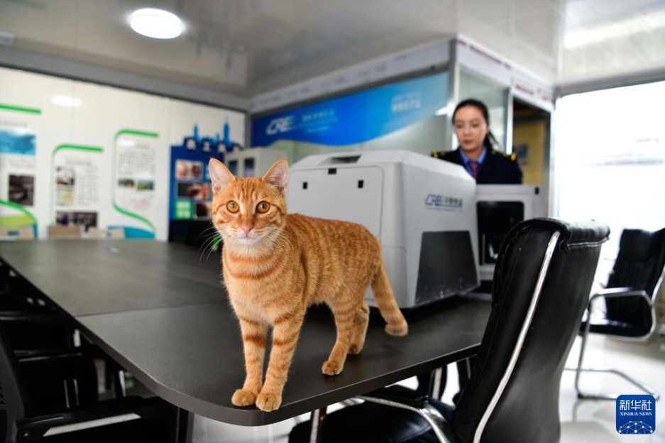 メーデー連休控え「高速鉄道快運」がペット連れ旅行をサポート