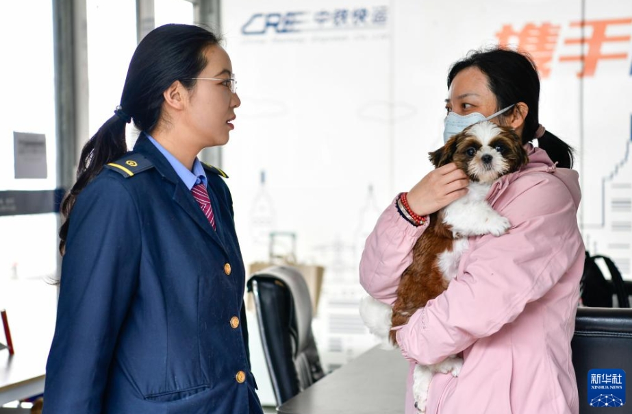 メーデー連休控え「高速鉄道快運」がペット連れ旅行をサポート