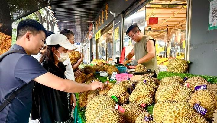 タイのドリアン豊作受け、中国でドリアンの価格がどんどん安く                    「ゴールデンルート」を通じた果物輸入がますます円滑になるにつれて、中国は大量のドリアンを輸入するようになっている。詳細>