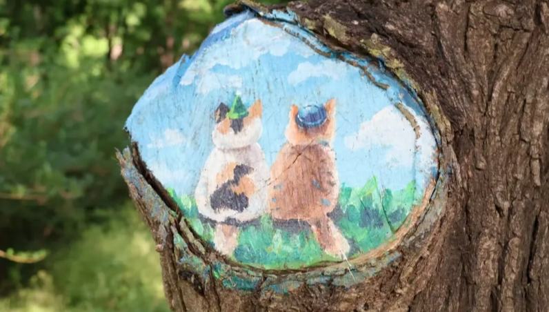 北京の公園で樹洞を覗くとレッサーパンダに会えるかも！？                    北京の北海公園に行き、湖の西側に植えられている柳の木の樹洞を覗くと、頭を出してきょろきょろしているアライグマやリスに出会ったり、北海公園のシンボルである白塔やボートを目にすることができるかもしれない。詳細>