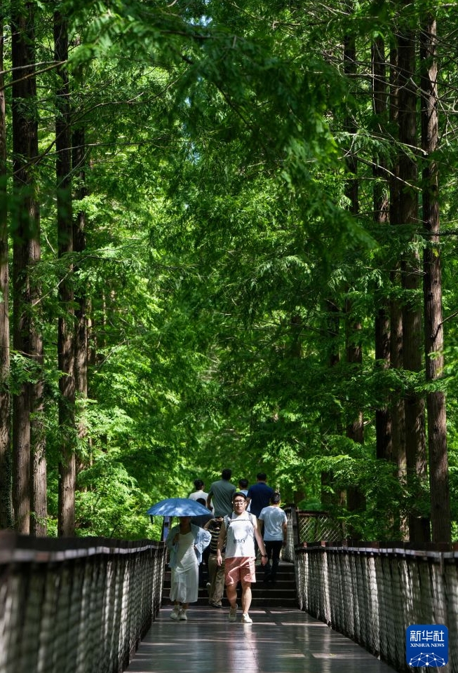 緑豊かな風景を楽しむ人々　江蘇省東台